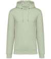 NS401 Unisex Heavyweight Hooded Sweatshirt Celadon Green colour image